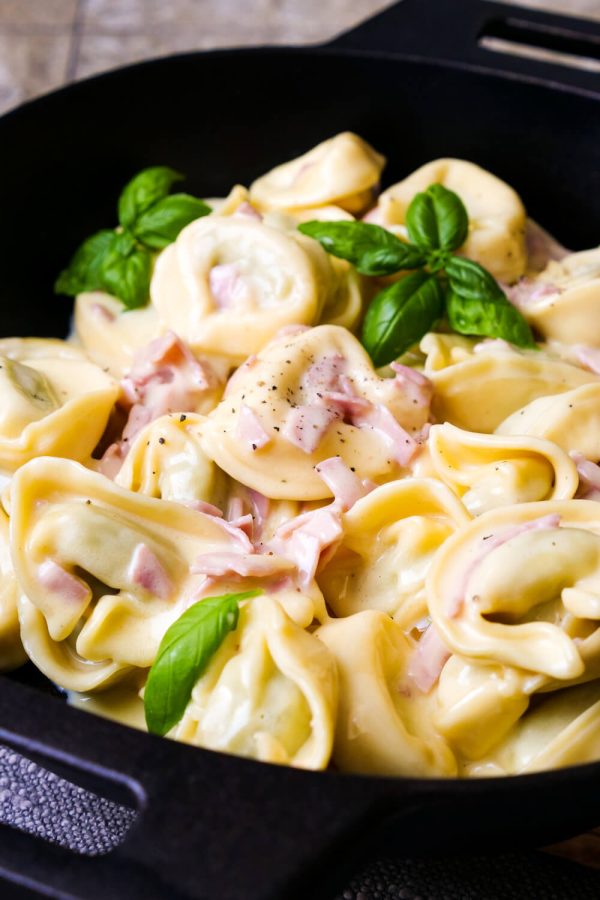 Alla Panna Tortellini